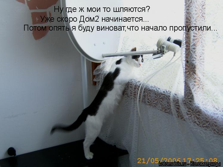 Ну где ж мои то шляются? Уже скоро Дом2 начинается... Потом опять я буду виноват,что начало пропустил... Котоматрица: Ну где ж мои то шляются? Уже скоро Дом2 начинается... Потом опять я буду виноват,что начало пропустили...
