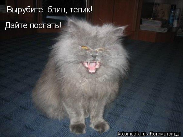 Вырубите, блин, телик! Дайте поспать!... Котоматрица: Вырубите, блин, телик! Дайте поспать!