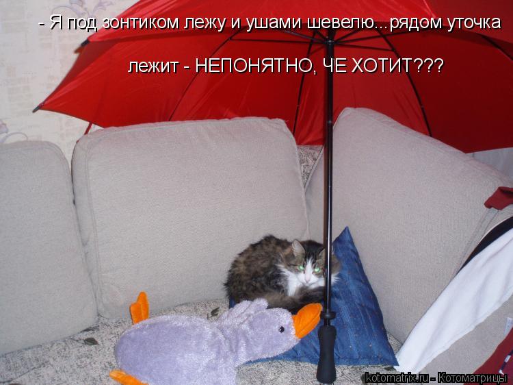 - Я под зонтиком лежу и ушами шевелю...рядом уточка лежит - НЕПОНЯТНО, ЧЕ ХОТИТ???... Котоматрица: - Я под зонтиком лежу и ушами шевелю...рядом уточка лежит - НЕПОНЯТНО, ЧЕ ХОТИТ???