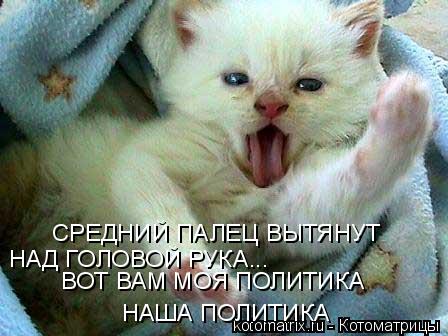 СРЕДНИЙ ПАЛЕЦ ВЫТЯНУТ НАД ГОЛОВОЙ РУКА... ВОТ ВАМ МОЯ ПОЛИТИКА НАША ПОЛИТИКА... Котоматрица: СРЕДНИЙ ПАЛЕЦ ВЫТЯНУТ НАД ГОЛОВОЙ РУКА... ВОТ ВАМ МОЯ ПОЛИТИКА НАША ПОЛИТИКА