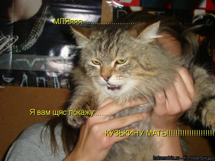 МЛЯяяя......................... Я вам щяс покажу....... КУЗЬКИНУ МАТЬ!!!!!!!!!!!!!!!!!!!!!!1... Котоматрица: МЛЯяяя......................... Я вам щяс покажу....... КУЗЬКИНУ МАТЬ!!!!!!!!!!!!!!!!!!!!!!1
