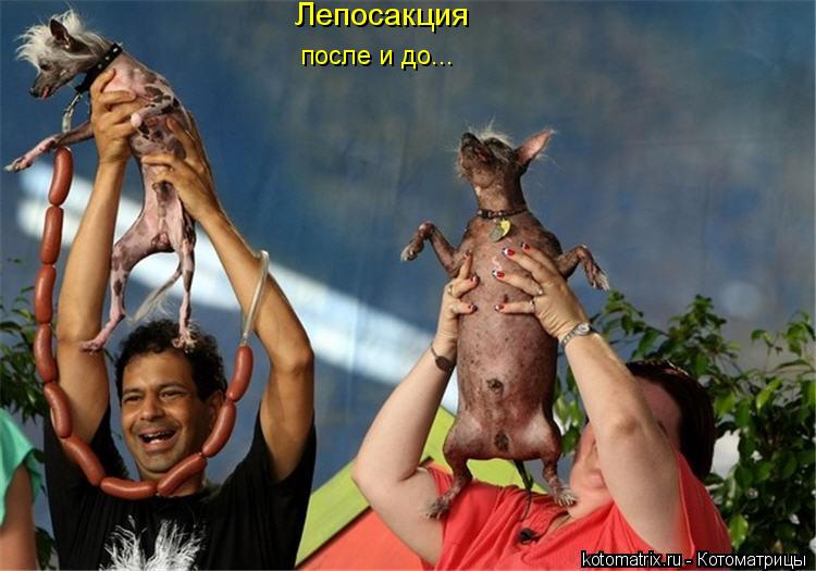 Лепосакция после и до...... Котоматрица: Лепосакция после и до...