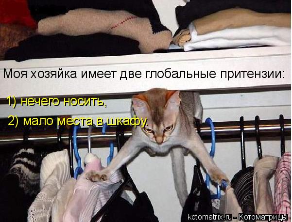 Моя хозяйка имеет две глобальные притензии: 1) нечего носить, 2) мало места в шкафу.... Котоматрица: Моя хозяйка имеет две глобальные притензии: 1) нечего носить, 2) мало места в шкафу.