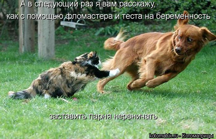 А в следующий раз я вам расскажу, как с помощью фломастера и теста на беременность заставить парня н... Котоматрица: А в следующий раз я вам расскажу, как с помощью фломастера и теста на беременность заставить парня нервничать