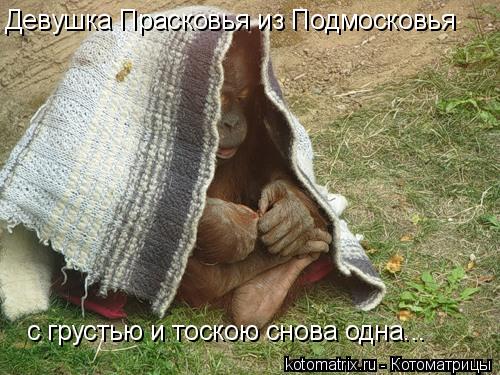 Девушка Прасковья из Подмосковья с грустью и тоскою снова одна...... Котоматрица: Девушка Прасковья из Подмосковья с грустью и тоскою снова одна...