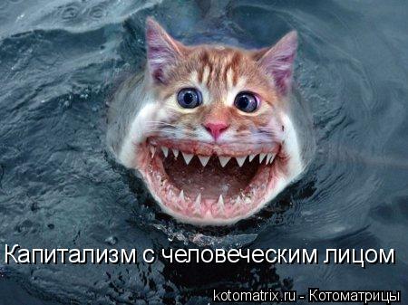 Капитализм с человеческим лицом... Котоматрица: Капитализм с человеческим лицом
