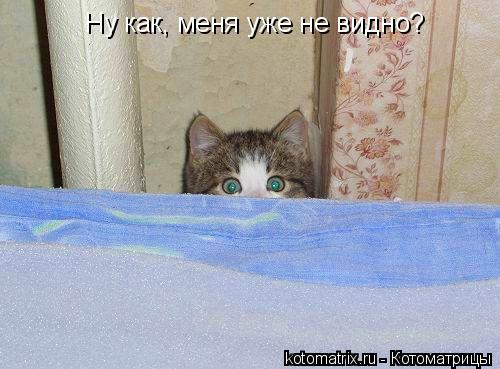 Ну как, меня уже не видно?... Котоматрица: Ну как, меня уже не видно?