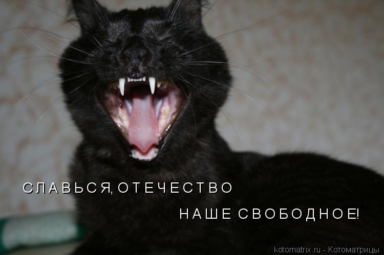 С Л А В Ь С Я, О Т Е Ч Е С Т В О Н А Ш Е С В О Б О Д Н О Е!... Котоматрица: С Л А В Ь С Я, О Т Е Ч Е С Т В О Н А Ш Е С В О Б О Д Н О Е!