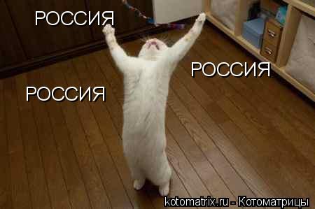 РОССИЯ РОССИЯ РОССИЯ... Котоматрица: РОССИЯ РОССИЯ РОССИЯ