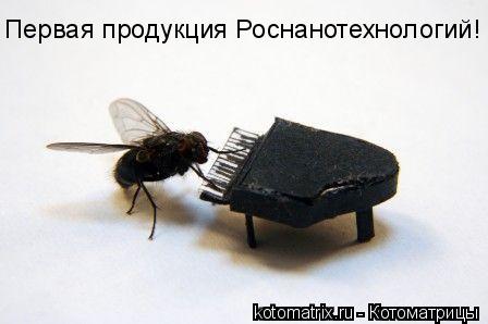 Первая продукция Роснанотехнологий!... Котоматрица: Первая продукция Роснанотехнологий!