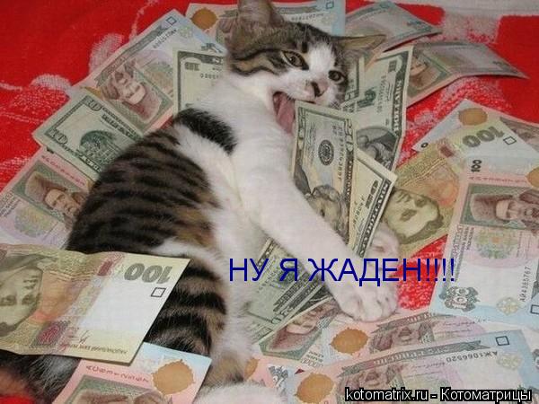 НУ Я ЖАДЕН!!!!... Котоматрица: НУ Я ЖАДЕН!!!!
