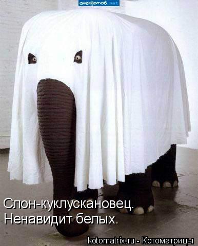 Слон-куклускановец. Ненавидит белых.... Котоматрица: Слон-куклускановец. Ненавидит белых.