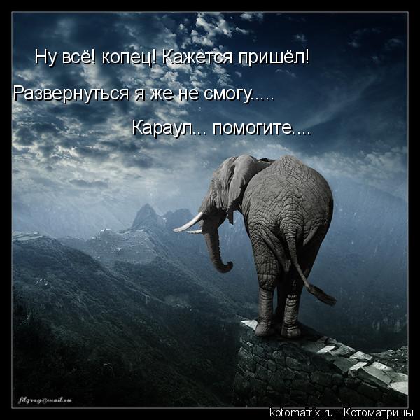 Ну всё! копец! Кажется пришёл! Развернуться я же не смогу..... Караул... помогите....... Котоматрица: Ну всё! копец! Кажется пришёл! Развернуться я же не смогу..... Караул... помогите....
