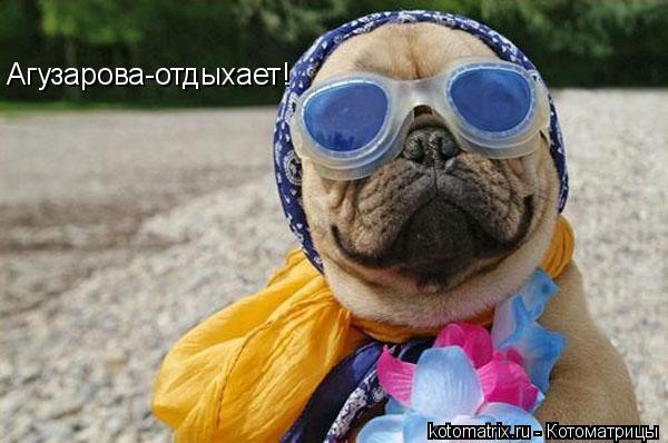 Агузарова-отдыхает!... Котоматрица: Агузарова-отдыхает!
