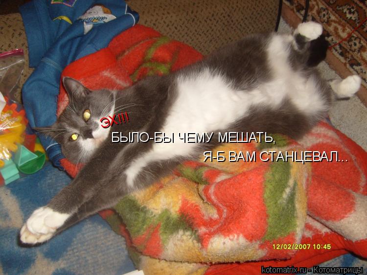 ЭХ!!! БЫЛО-БЫ ЧЕМУ МЕШАТЬ, Я-Б ВАМ СТАНЦЕВАЛ...... Котоматрица: ЭХ!!! БЫЛО-БЫ ЧЕМУ МЕШАТЬ, Я-Б ВАМ СТАНЦЕВАЛ...