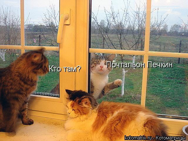 Кто там? Почтальон Печкин... Котоматрица: Кто там? Почтальон Печкин