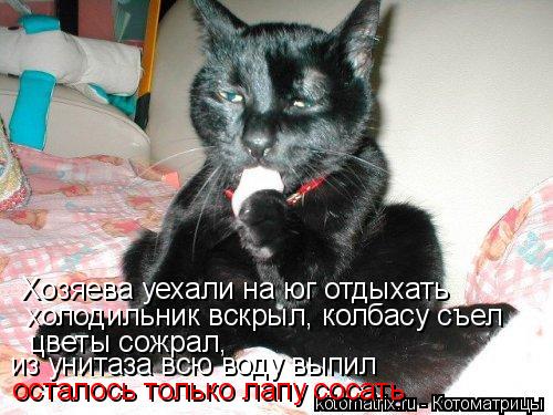 Хозяева уехали на юг отдыхать холодильник вскрыл, колбасу съел цветы сожрал, из унитаза всю воду выпи... Котоматрица: Хозяева уехали на юг отдыхать холодильник вскрыл, колбасу съел цветы сожрал, из унитаза всю воду выпил осталось только лапу сосать