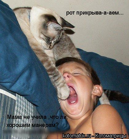 рот прикрыва-а-аем... хорошим манерам? Мама не учила ,что ли,... Котоматрица: рот прикрыва-а-аем... хорошим манерам? Мама не учила ,что ли,