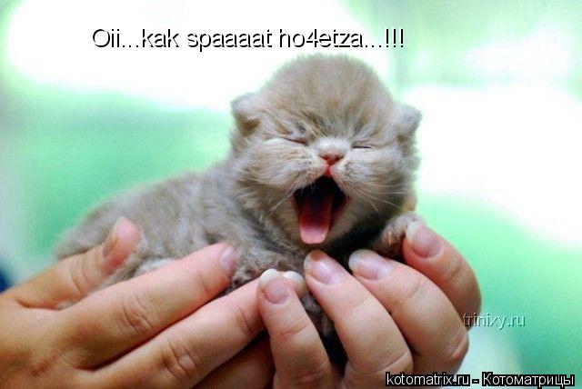 Котоматрица: Oii...kak spaaaat ho4etza...!!!