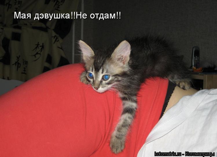 Мая дэвушка!!Не отдам!!... Котоматрица: Мая дэвушка!!Не отдам!!