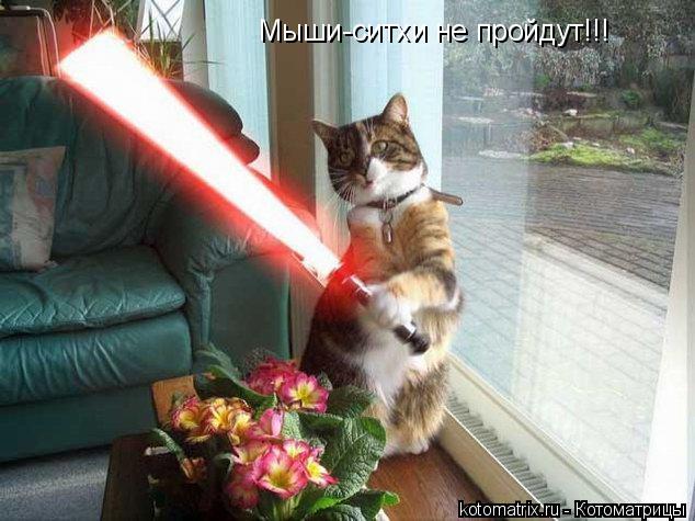 Мыши-ситхи не пройдут!!!... Котоматрица: Мыши-ситхи не пройдут!!!