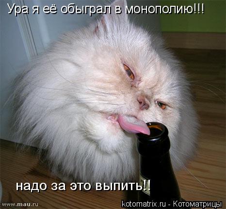 Ура я её обыграл в монополию!!! надо за это выпить!!... Котоматрица: Ура я её обыграл в монополию!!! надо за это выпить!!