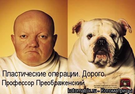 Пластические операции. Дорого. Профессор Преображенский.... Котоматрица: Пластические операции. Дорого. Профессор Преображенский.