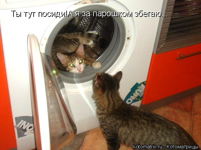 Котоматрица: Ты тут посиди!А я за парошком збегаю...