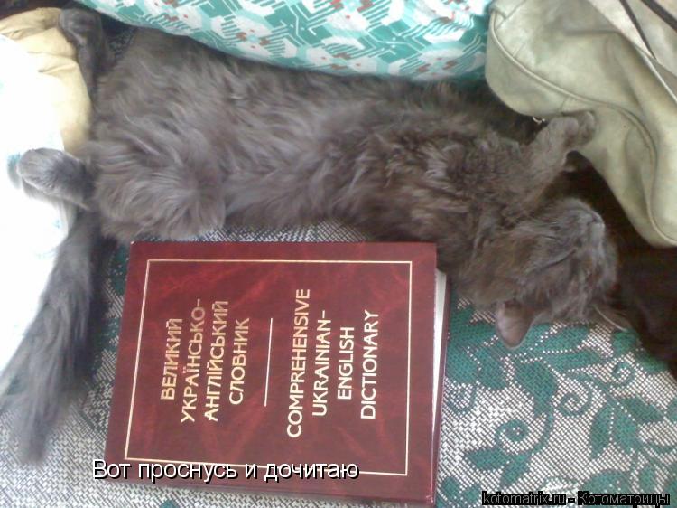 Вот проснусь и дочитаю... Котоматрица: Вот проснусь и дочитаю