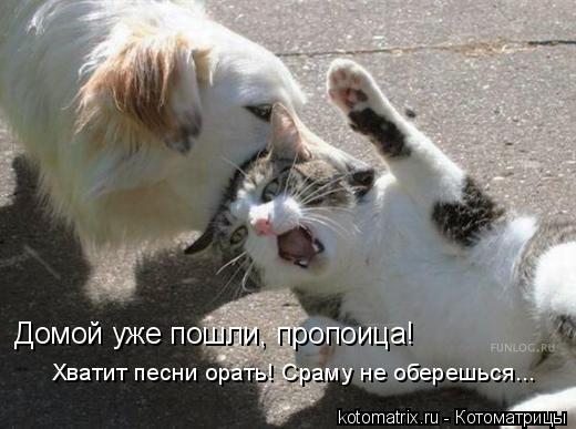 Домой уже пошли, пропоица! Хватит песни орать! Сраму не оберешься...... Котоматрица: Домой уже пошли, пропоица! Хватит песни орать! Сраму не оберешься...