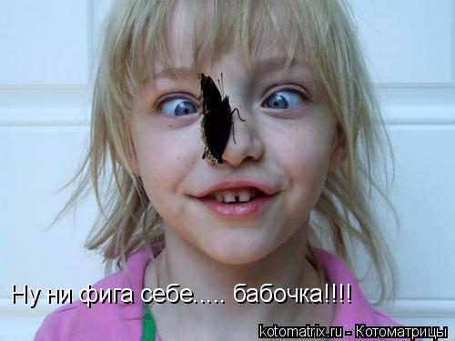 Ну ни фига себе..... бабочка!!!!... Котоматрица: Ну ни фига себе..... бабочка!!!!
