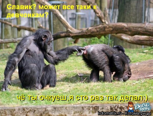 чё ты очкуеш,я сто раз так делал:)... Котоматрица: чё ты очкуеш,я сто раз так делал:)