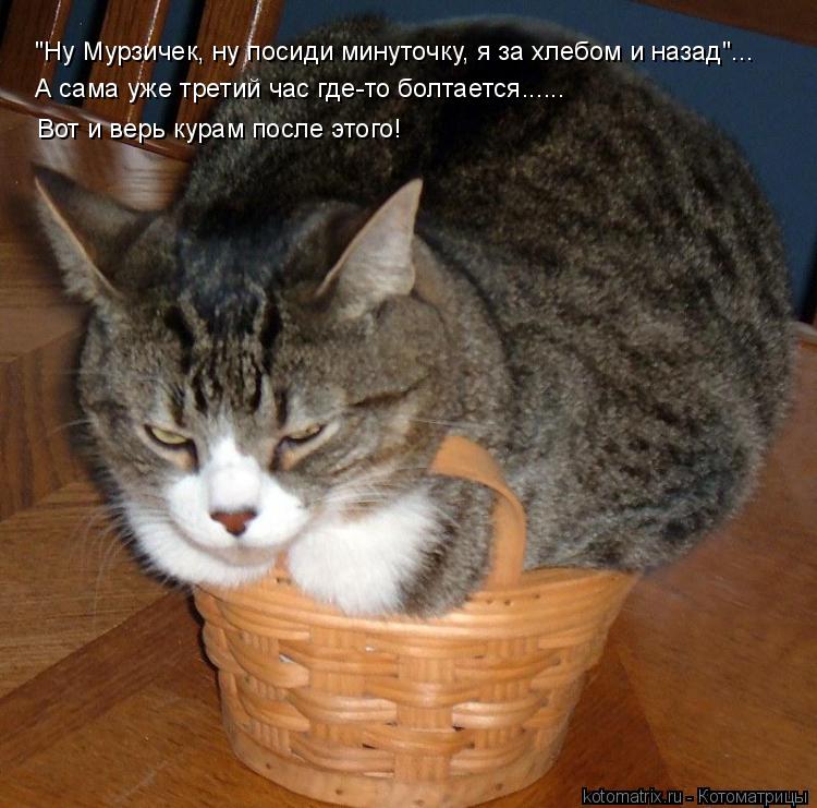 "Ну Мурзичек, ну посиди минуточку, я за хлебом и назад"... А сама уже третий час где-то болтается....... Котоматрица: "Ну Мурзичек, ну посиди минуточку, я за хлебом и назад"... А сама уже третий час где-то болтается...... Вот и верь курам после этого!
