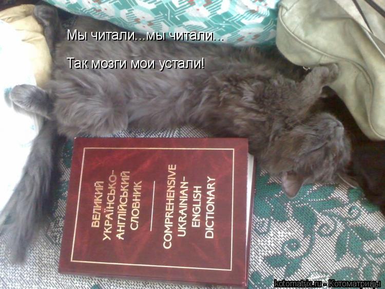 Котоматрица: Мы читали...мы читали... Так мозги мои устали!