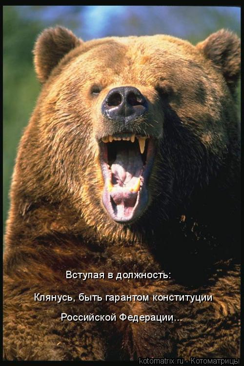 Котоматрица: Клянусь, быть гарантом конституции  Вступая в должность: Российской Федерации...