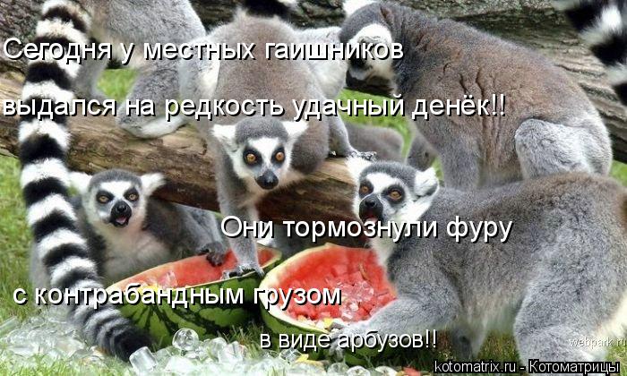 Сегодня у местных гаишников выдался на редкость удачный денёк!! Они тормознули фуру с контрабандным ... Котоматрица: Сегодня у местных гаишников выдался на редкость удачный денёк!! Они тормознули фуру с контрабандным грузом в виде арбузов!!