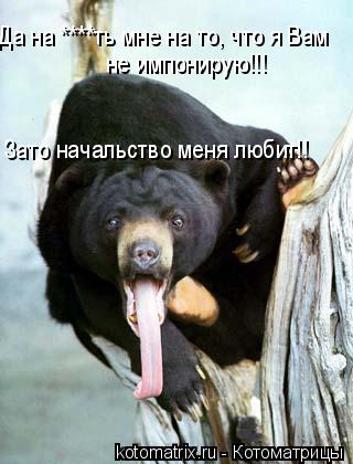 Да на ****ть мне на то, что я Вам не импонирую!!! Зато начальство меня любит!!... Котоматрица: Да на ****ть мне на то, что я Вам не импонирую!!! Зато начальство меня любит!!