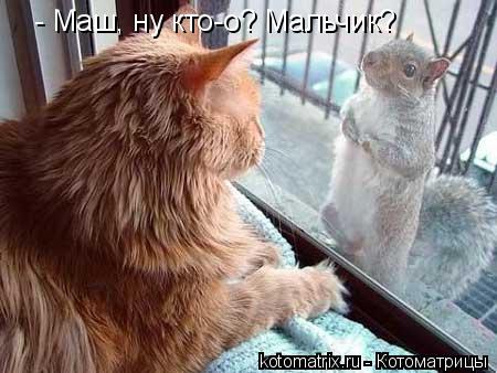 - Маш, ну кто-о? Мальчик?... Котоматрица: - Маш, ну кто-о? Мальчик?