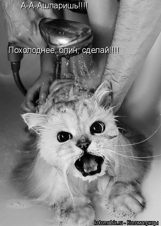 А-А-Ашпаришь!!!! Похолоднее, блин, сделай!!!!... Котоматрица: А-А-Ашпаришь!!!! Похолоднее, блин, сделай!!!!