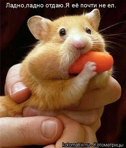 Ладно,ладно отдаю.Я её почти не ел.... Котоматрица: Ладно,ладно отдаю.Я её почти не ел.