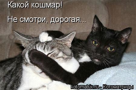 Какой кошмар! Не смотри, дорогая...... Котоматрица: Какой кошмар! Не смотри, дорогая...