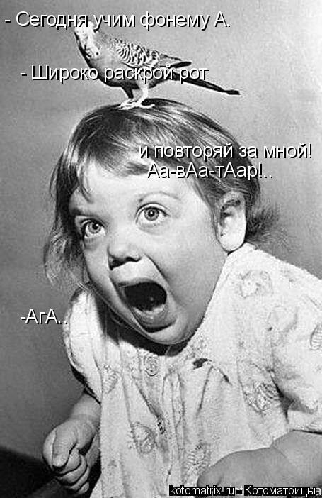 - Сегодня учим фонему А. - Широко раскрой рот и повторяй за мной! Аа-вАа-тАар!.. -АгА..... Котоматрица: - Сегодня учим фонему А. - Широко раскрой рот и повторяй за мной! Аа-вАа-тАар!.. -АгА..