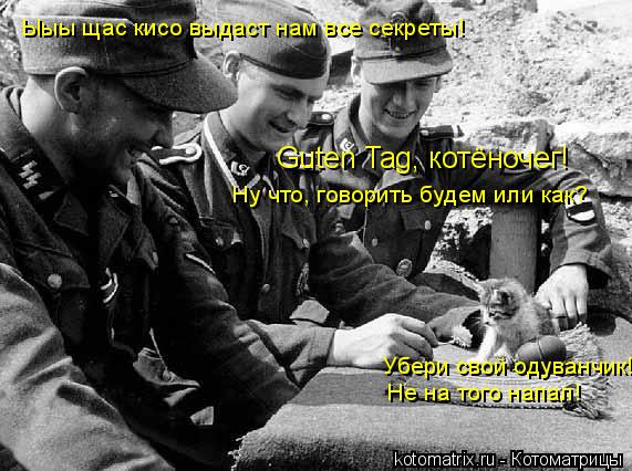 Guten Tag, котёночег! Ну что, говорить будем или как? Убери свой одуванчик! Не на того напал! Ыыы щ... Котоматрица: Guten Tag, котёночег! Ну что, говорить будем или как? Убери свой одуванчик! Не на того напал! Ыыы щас кисо выдаст нам все секреты!