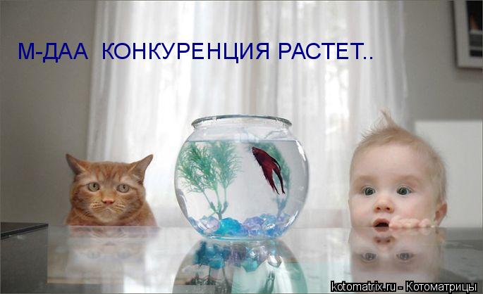 М-ДАА КОНКУРЕНЦИЯ РАСТЕТ..... Котоматрица: М-ДАА КОНКУРЕНЦИЯ РАСТЕТ..