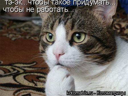 тэ-эк...чтобы такое придумать... чтобы не работать...... Котоматрица: тэ-эк...чтобы такое придумать... чтобы не работать...