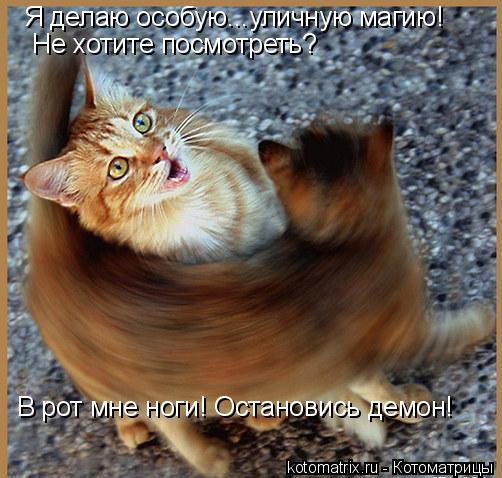 Я делаю особую...уличную магию! Не хотите посмотреть? В рот мне ноги! Остановись демон!... Котоматрица: Я делаю особую...уличную магию! Не хотите посмотреть? В рот мне ноги! Остановись демон!