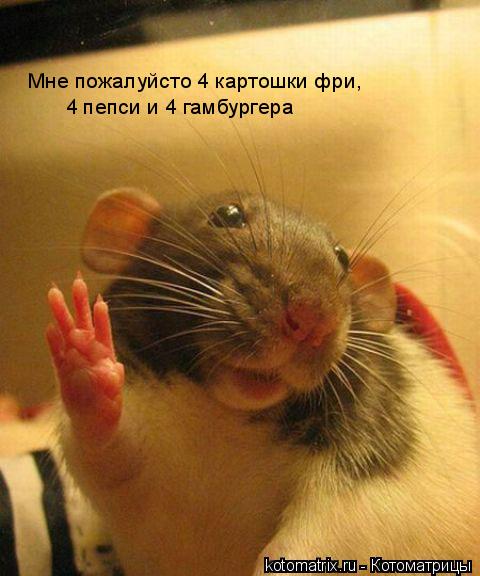 Мне пожалуйсто 4 картошки фри, 4 пепси и 4 гамбургера... Котоматрица: Мне пожалуйсто 4 картошки фри, 4 пепси и 4 гамбургера
