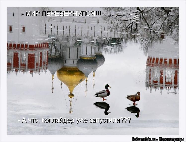 - МИР ПЕРЕВЕРНУЛСЯ!!! - А что, коллайдер уже запустили???... Котоматрица: - МИР ПЕРЕВЕРНУЛСЯ!!! - А что, коллайдер уже запустили???