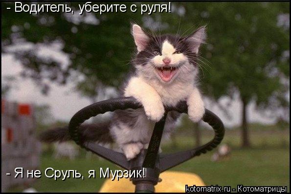 - Водитель, уберите с руля! - Я не Сруль, я Мурзик!... Котоматрица: - Водитель, уберите с руля! - Я не Сруль, я Мурзик!