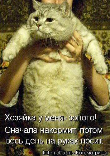 Хозяйка у меня- золото! Сначала накормит, потом весь день на руках носит.... Котоматрица: Хозяйка у меня- золото! Сначала накормит, потом весь день на руках носит.